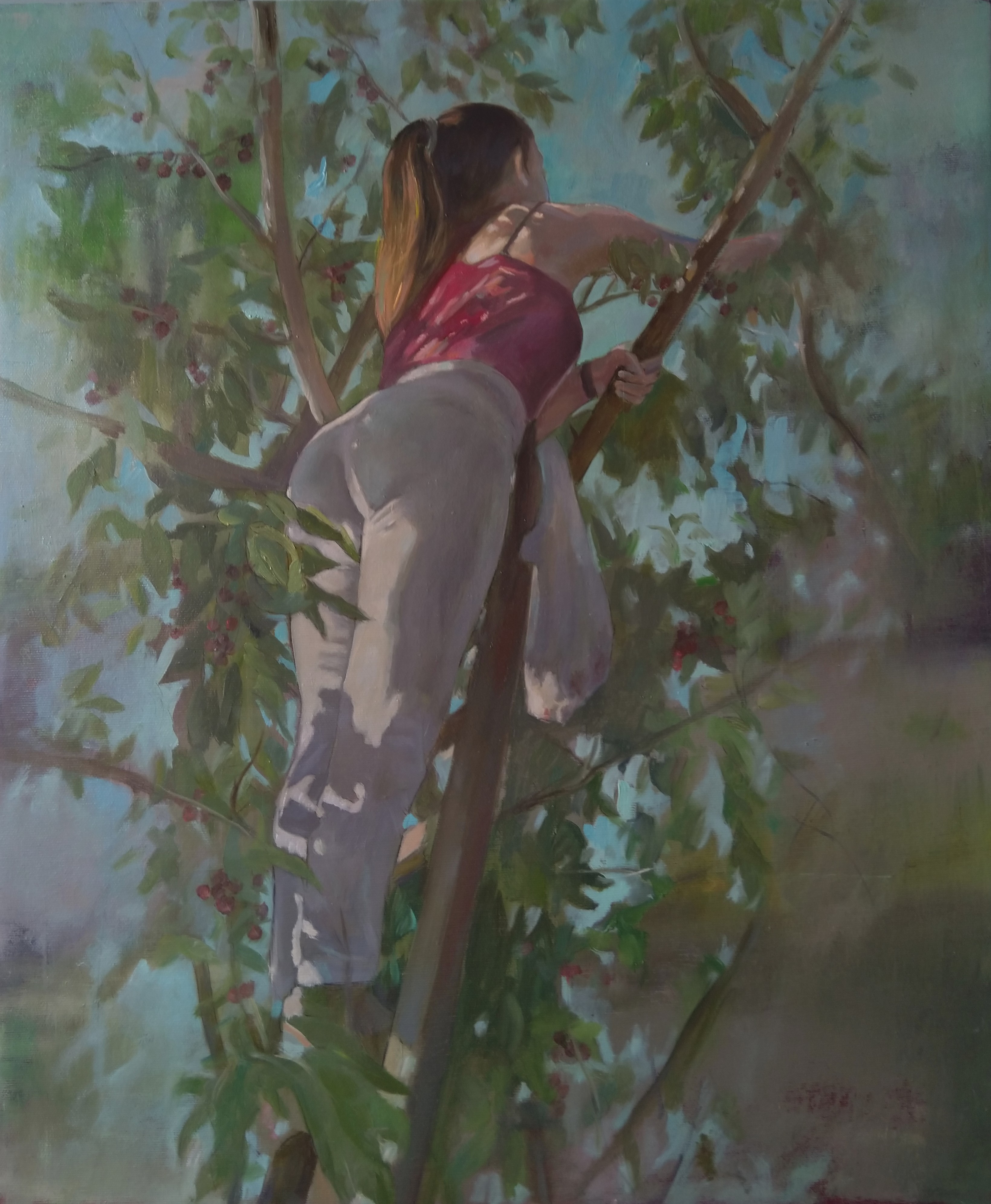Kamsar Ohanyan, Harvesting Kamsar Ohanyan, Harvesting