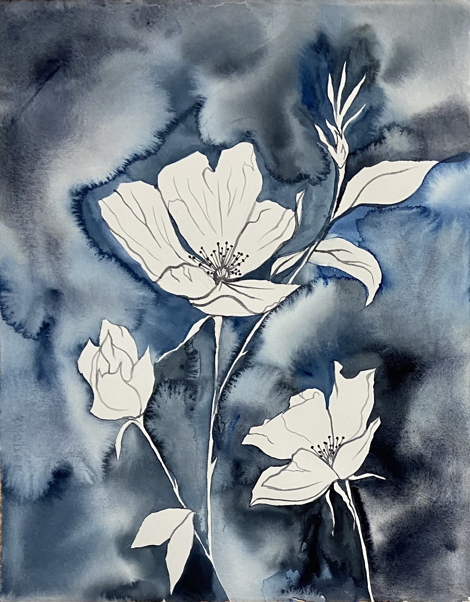 Elizabeth Becker, Wild Rose No. 14 Elizabeth Becker, Wild Rose No. 14