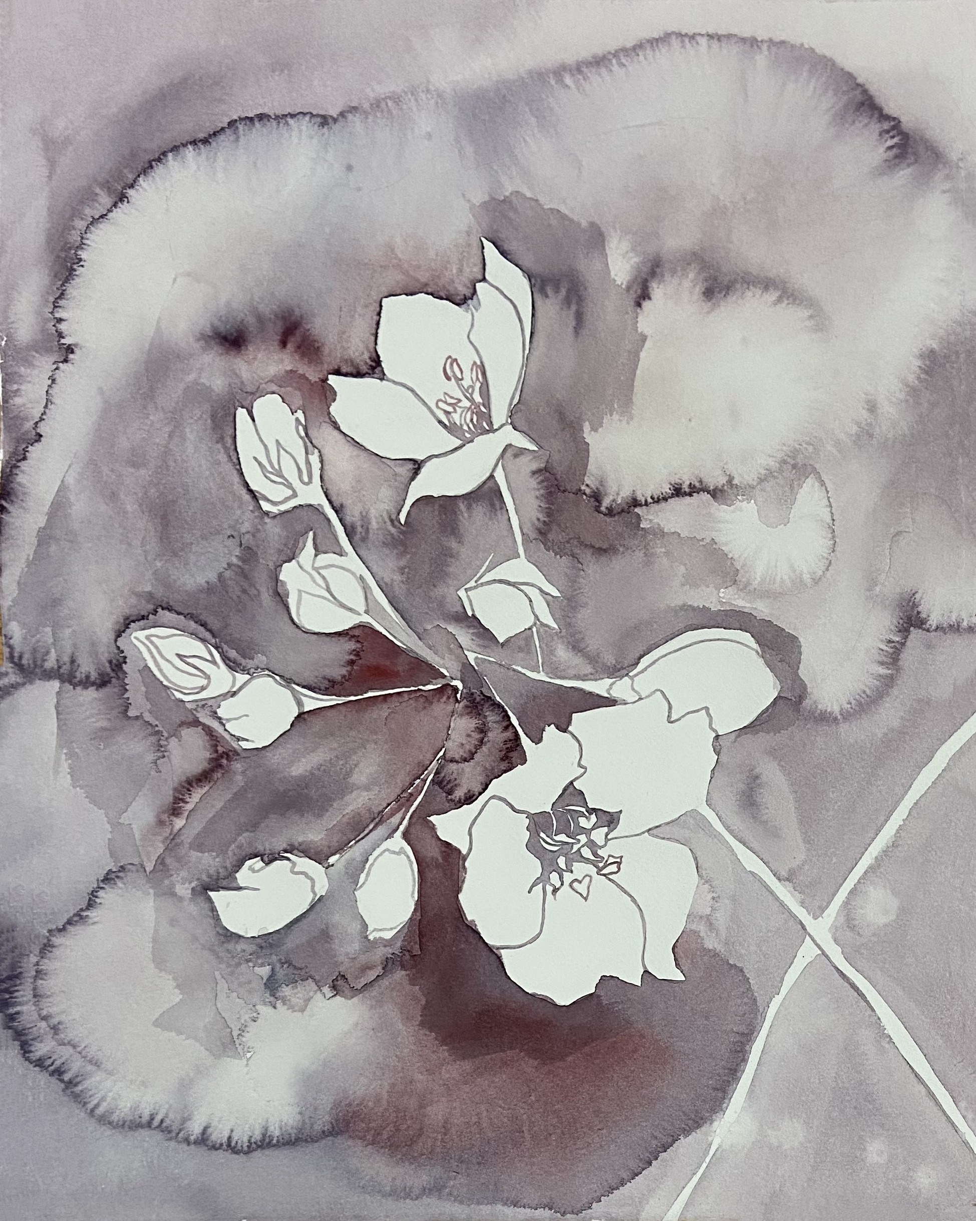 Elizabeth Becker, Cherry Blossom No. 38 Elizabeth Becker, Cherry Blossom No. 38