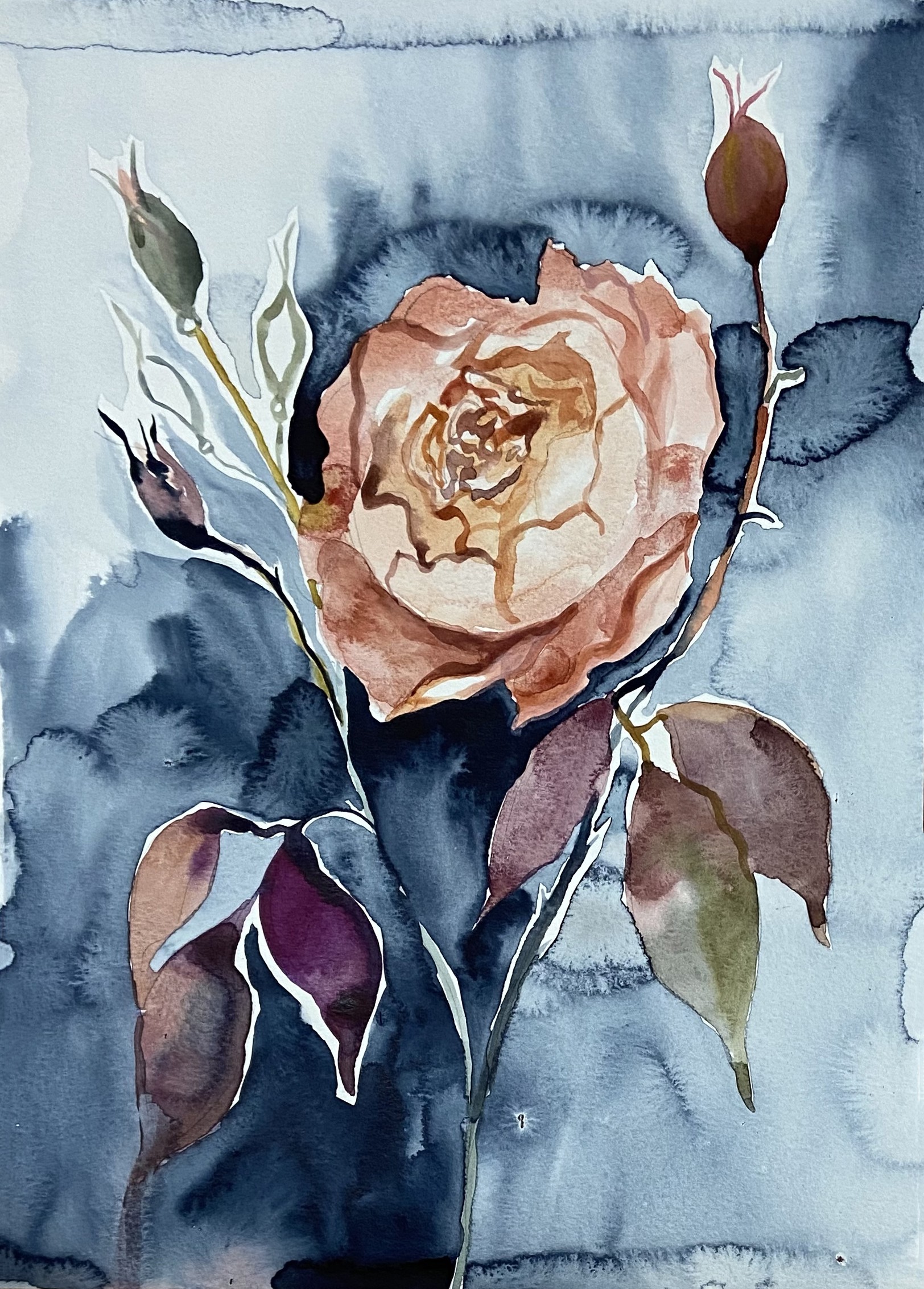 Elizabeth Becker, Rose No. 6 Elizabeth Becker, Rose No. 6