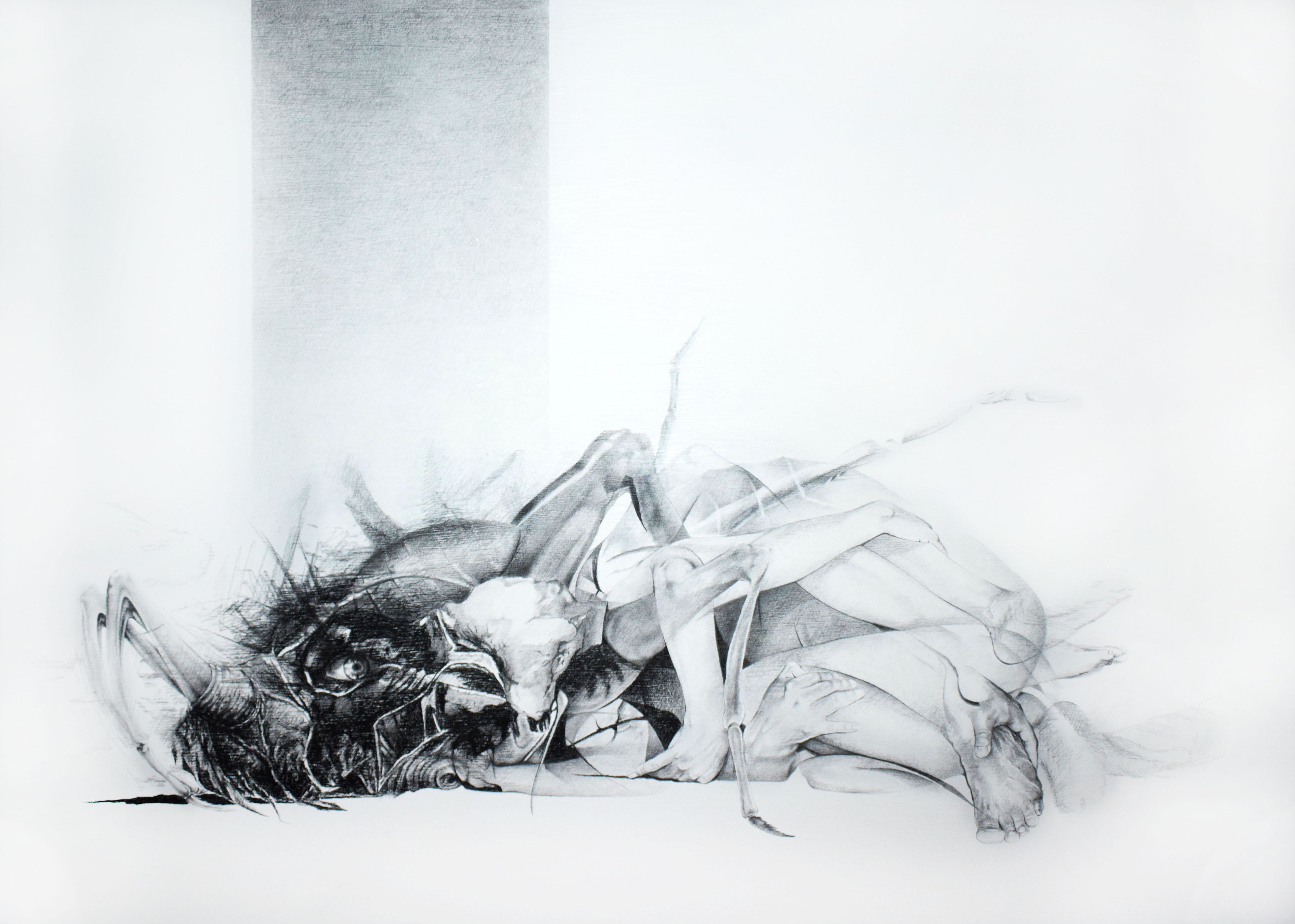 Alcides Calizaya, The mirror clause Alcides Calizaya, The mirror clause