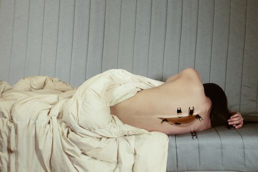 Feng Wang
