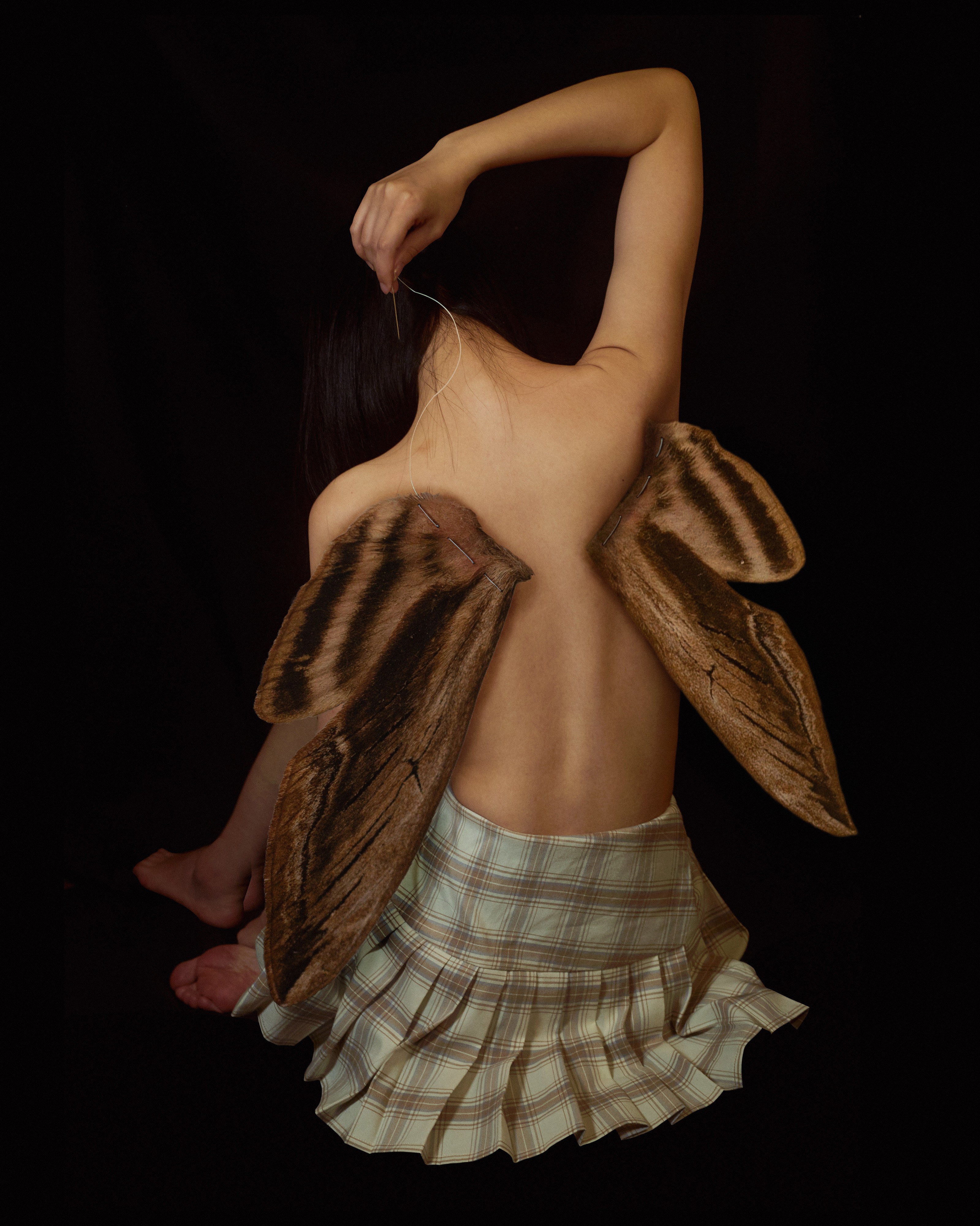 Feng Wang, Butterfly II Feng Wang, Butterfly II