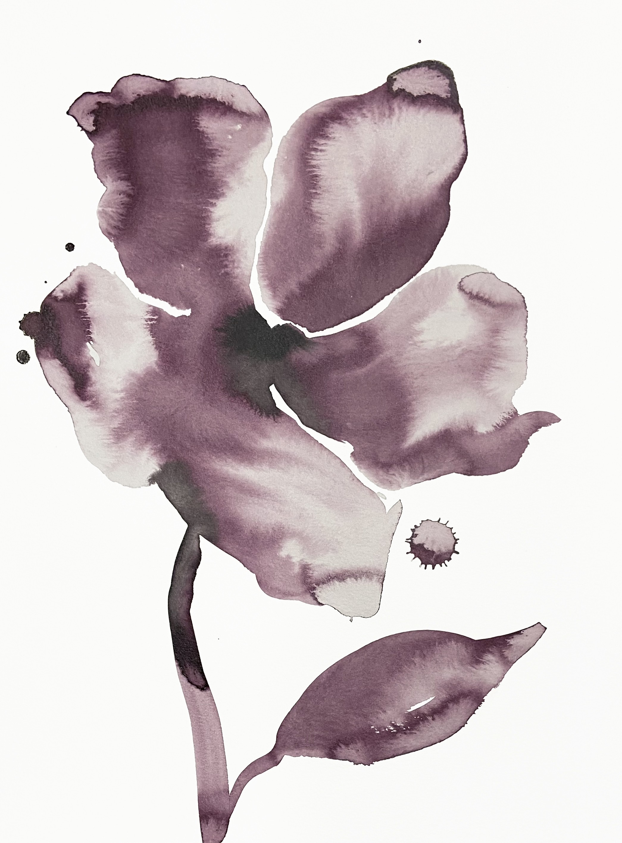 Elizabeth Becker, Wild Rose No. 16 Elizabeth Becker, Wild Rose No. 16