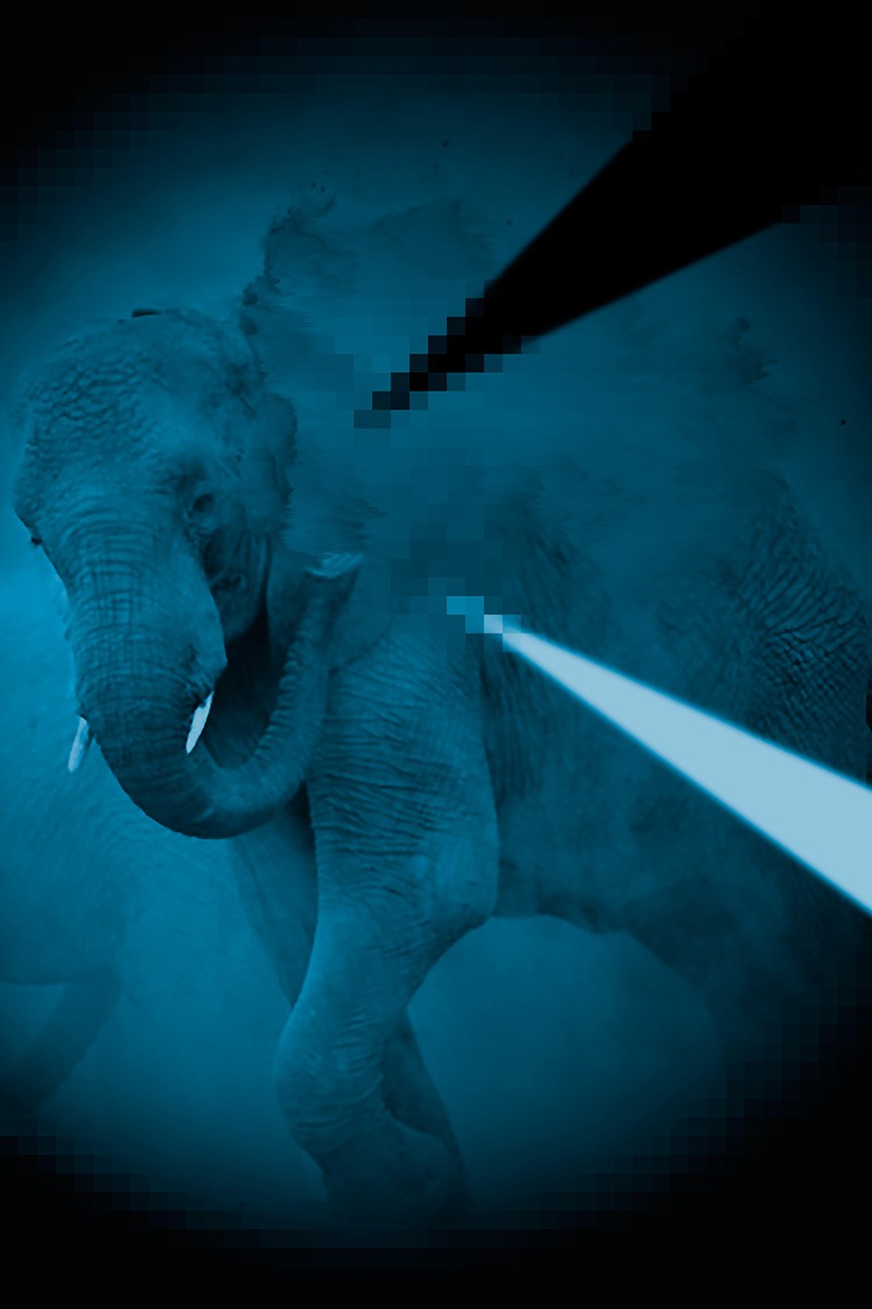 The opium smoking white elephant, Elephant bathing in dust pixels The opium smoking white elephant, Elephant bathing in dust pixels