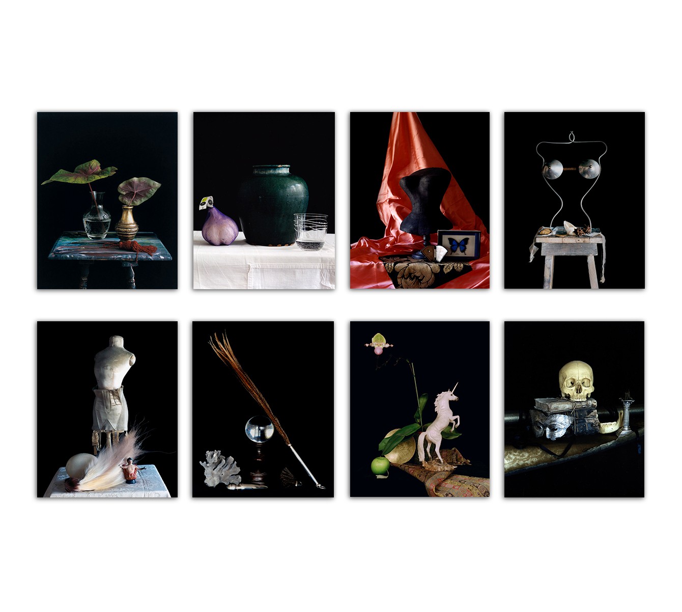 Michael James O'Brien, Still Life, Portfolio of 8 photographs Michael James O'Brien, Still Life, Portfolio of 8 photographs