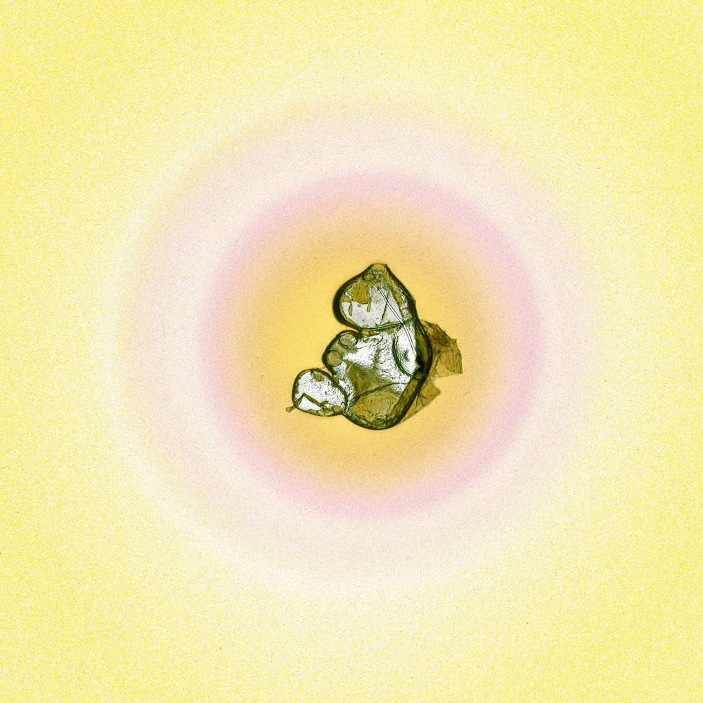 Claus Stolz, Sun #84 Claus Stolz, Sun #84
