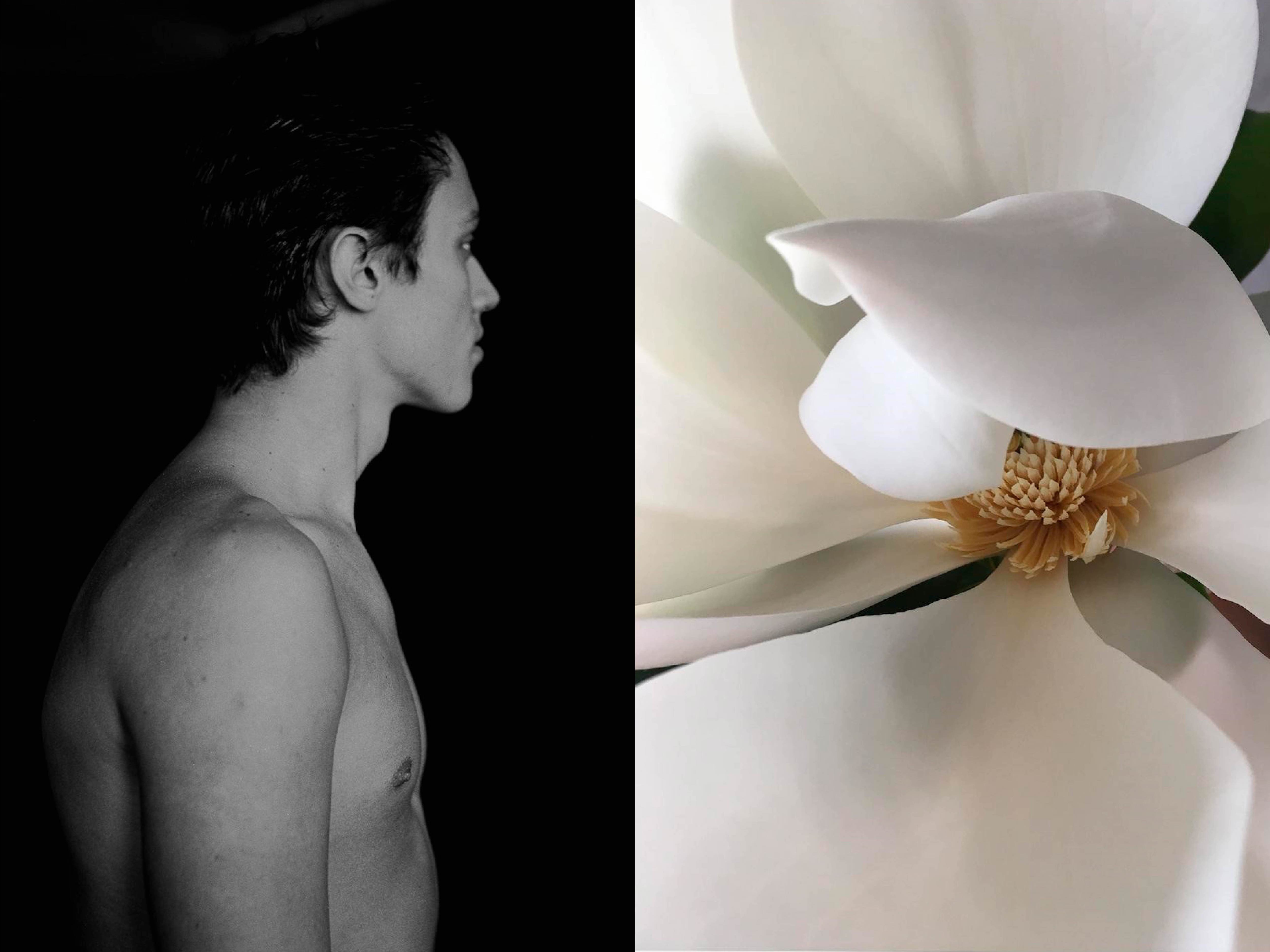 Michael James O'Brien, Tantalus (Diptych) Michael James O'Brien, Tantalus (Diptych)