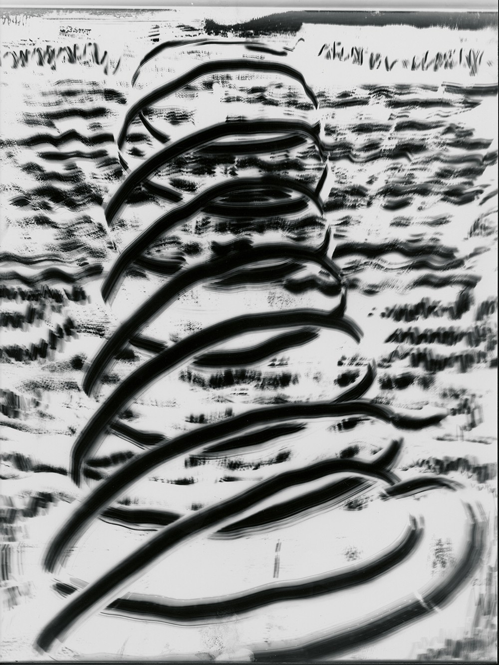 Eliška Bartek, Untitled (10). From series: Secret Photography - Cliché Verre and Photograms Eliška Bartek, Untitled (10). From series: Secret Photography - Cliché Verre and Photograms