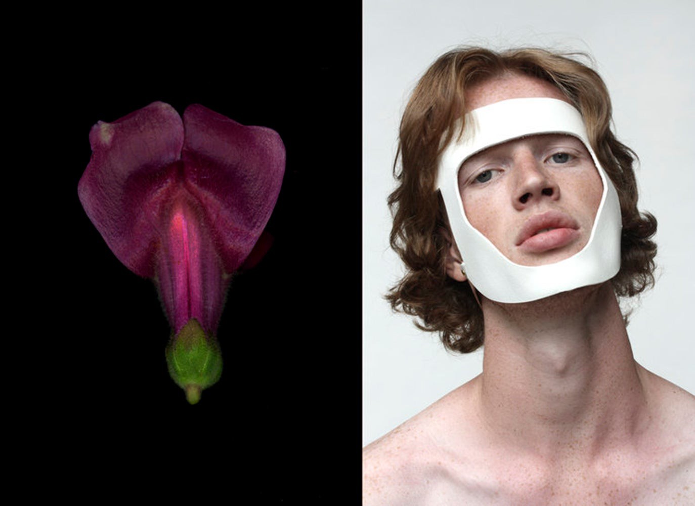 Michael James O'Brien, Lycidas (Diptych), n.d. Michael James O'Brien, Lycidas (Diptych), n.d.