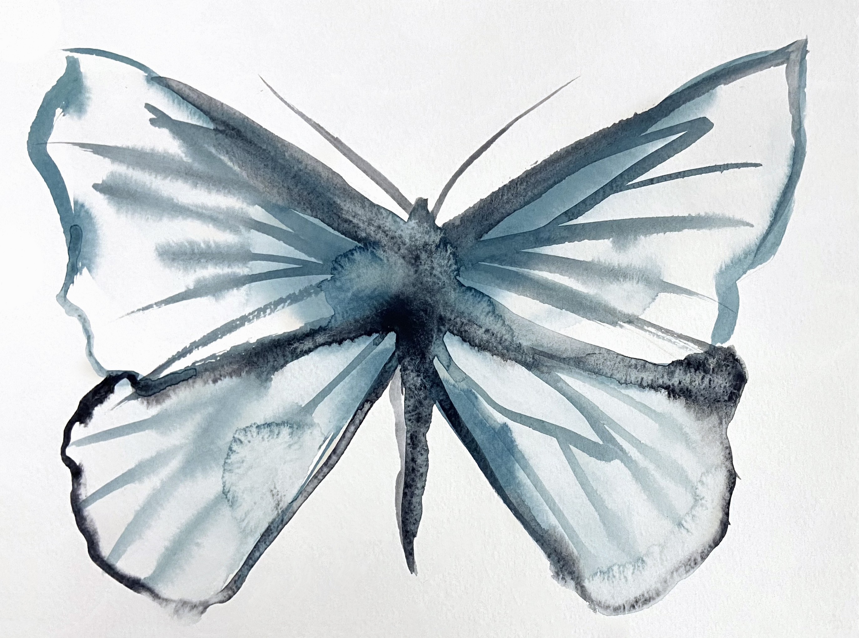 Elizabeth Becker, Butterfly Study No. 3 Elizabeth Becker, Butterfly Study No. 3