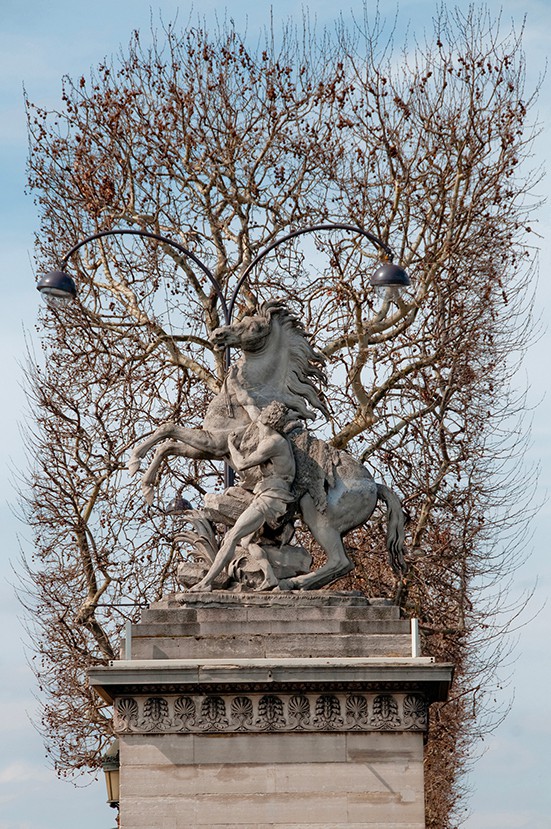 Antoine Buttafoghi, The horse of Marly Antoine Buttafoghi, The horse of Marly
