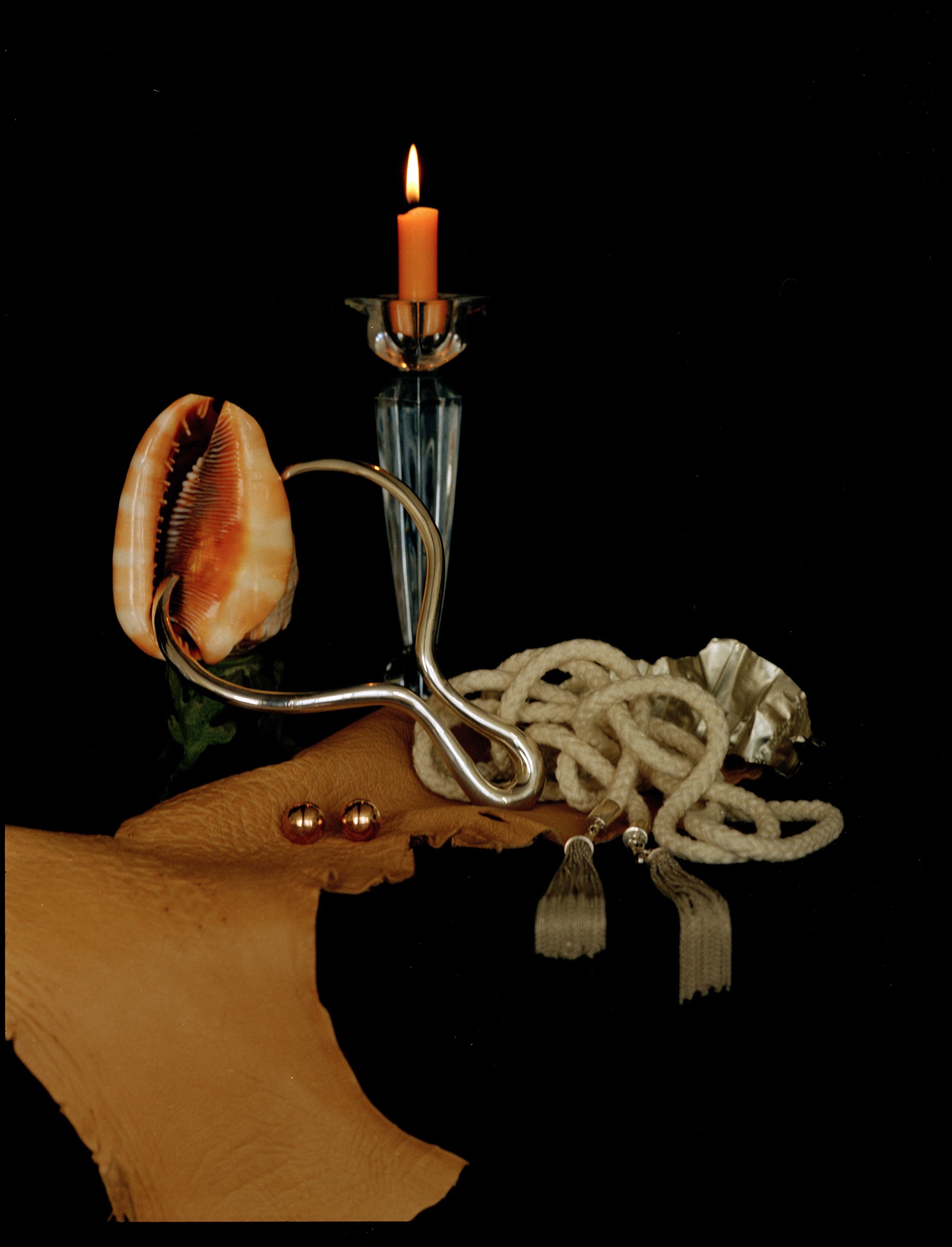 Michael James O'Brien, Still life with a shell and a rope, Paris Michael James O'Brien, Still life with a shell and a rope, Paris