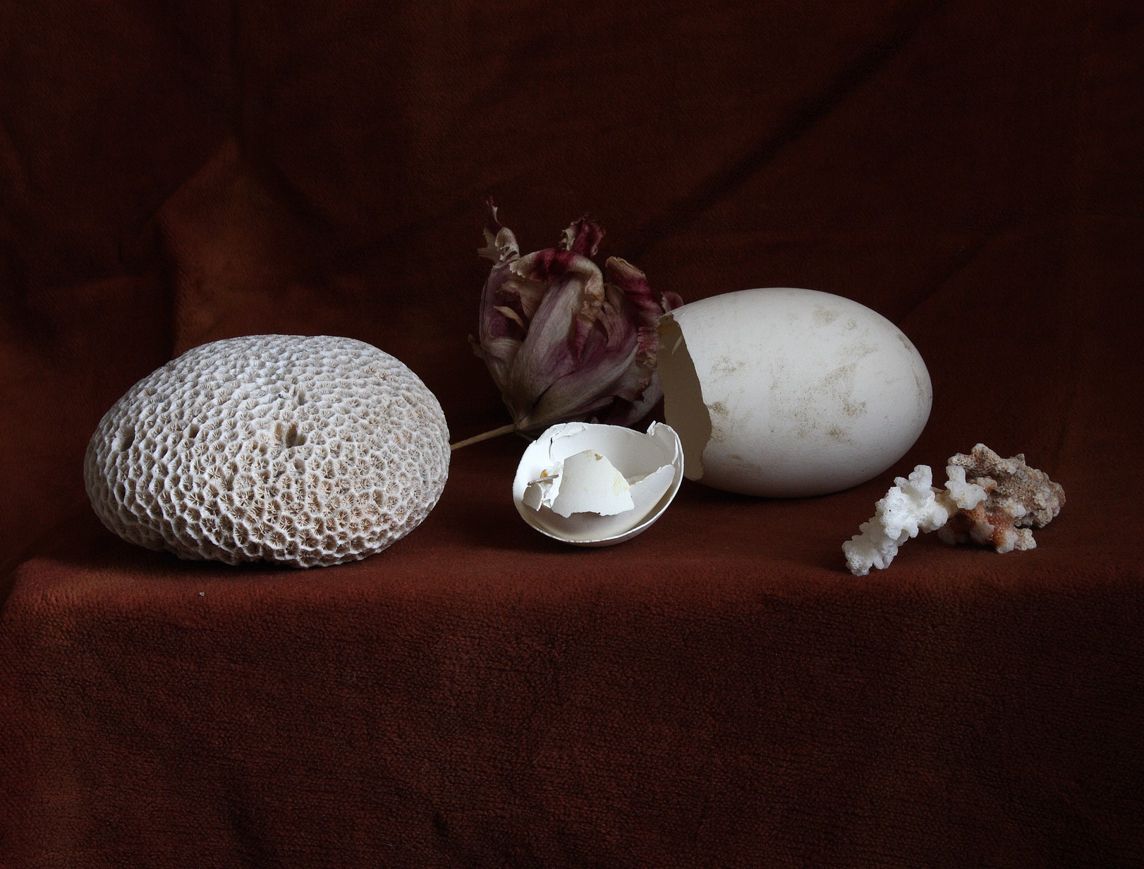 Michael James O'Brien, Still Life with a Broken Egg, Antwerp Michael James O'Brien, Still Life with a Broken Egg, Antwerp