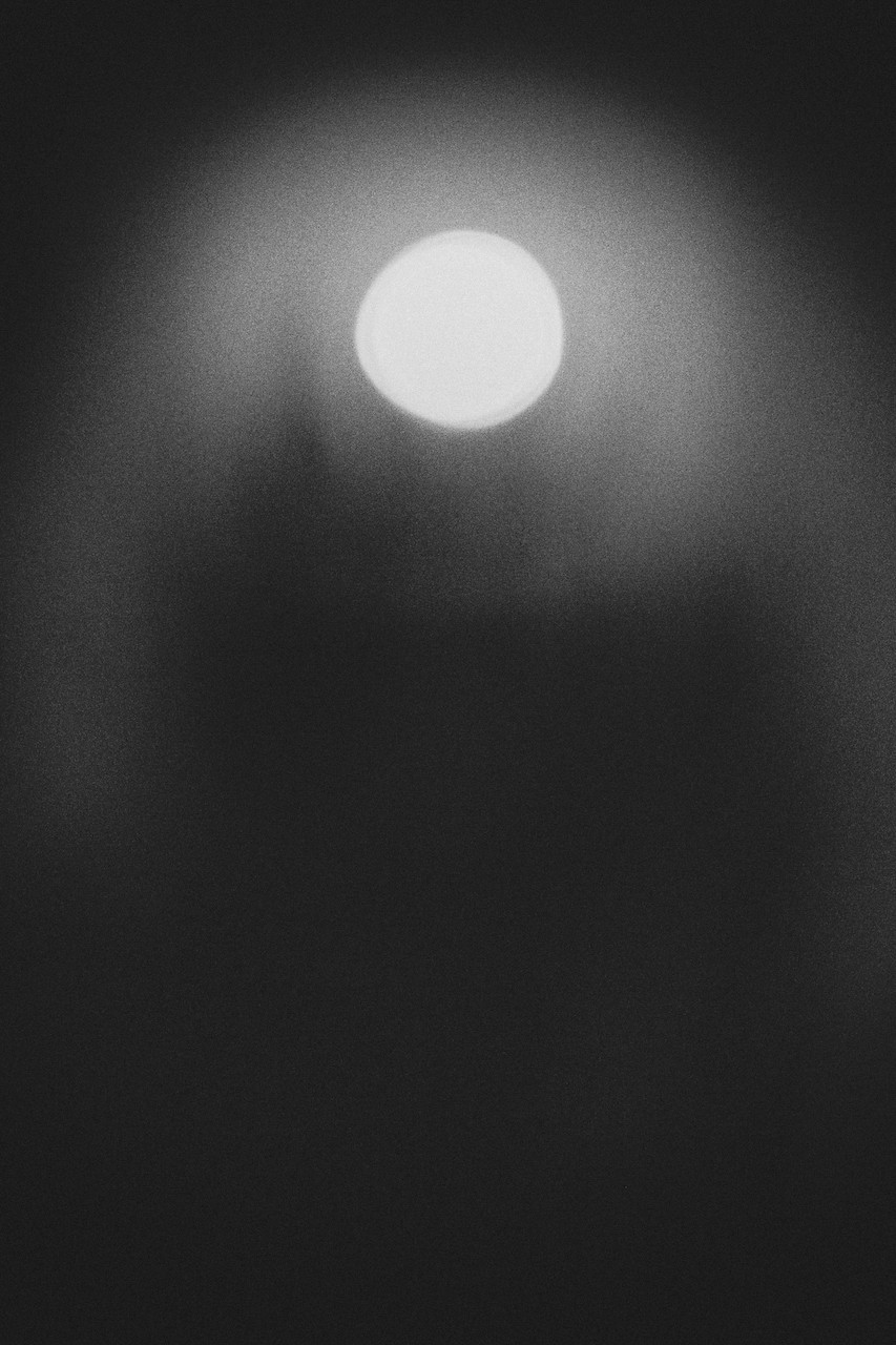 Shulan Wang, Moonshine Shulan Wang, Moonshine