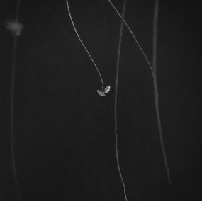 Fotografien, Solo dance, Shulan Wang