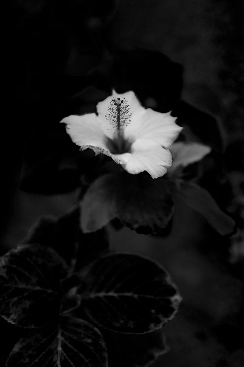 Shulan Wang, Breathe silently Shulan Wang, Breathe silently