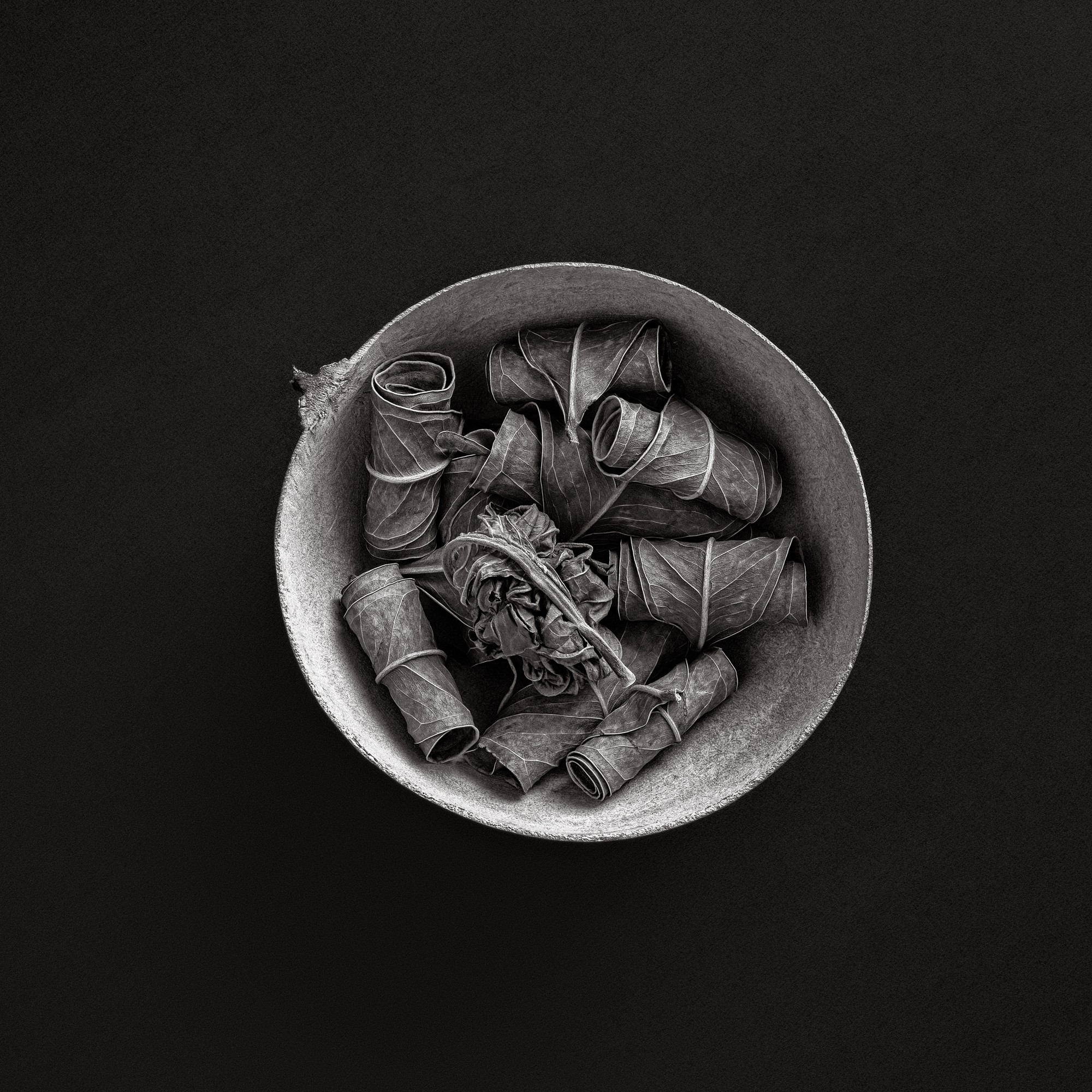 Andrés Rozo Samer, Dead nature scrolls #12 Andrés Rozo Samer, Dead nature scrolls #12