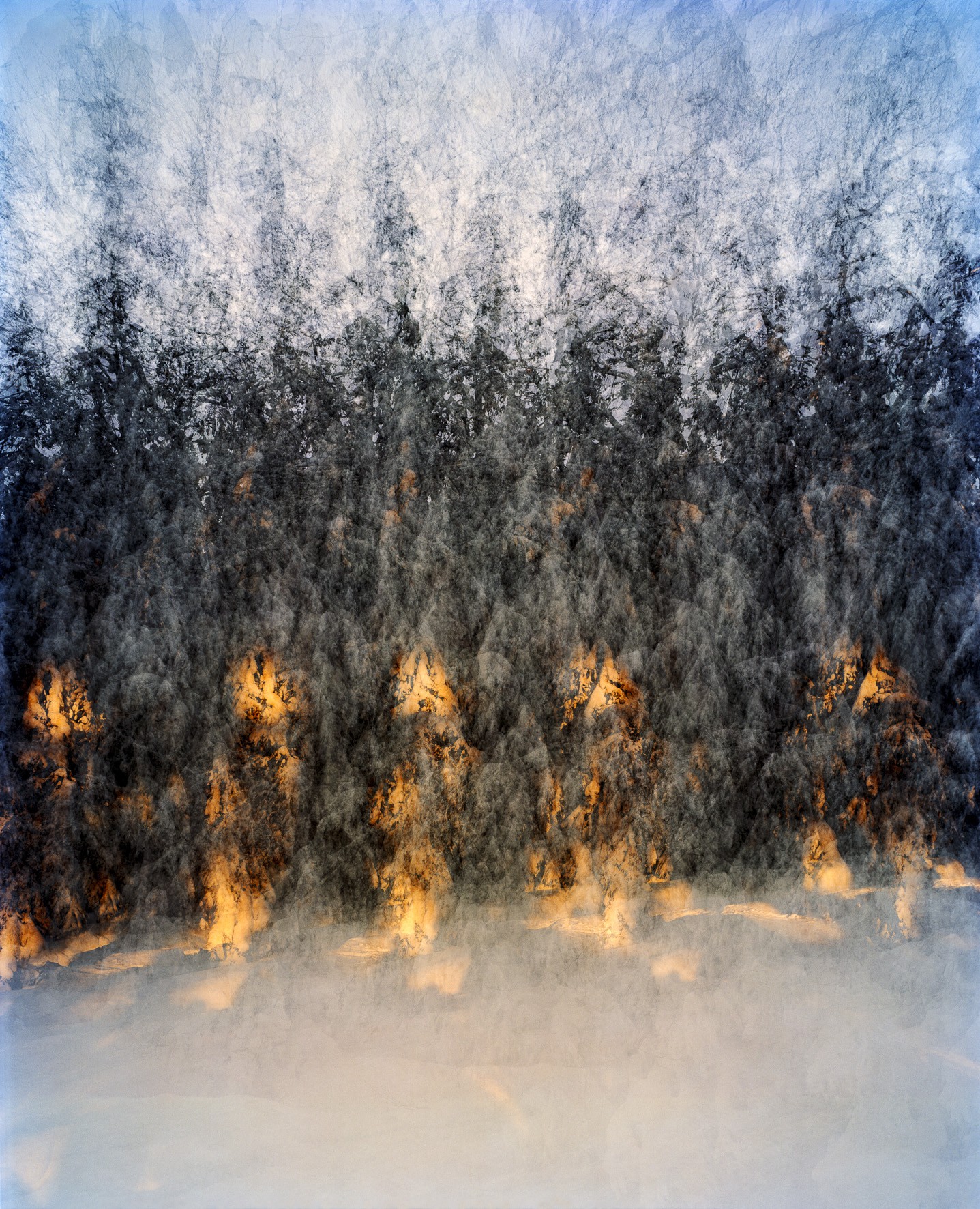 Peter Neusser, Wald Peter Neusser, Wald