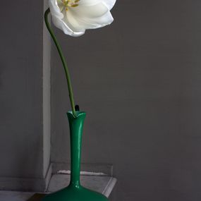 Photography, Still life with a White Tulip and a Green Opalina Vase, Antwerp, Michael James O'Brien