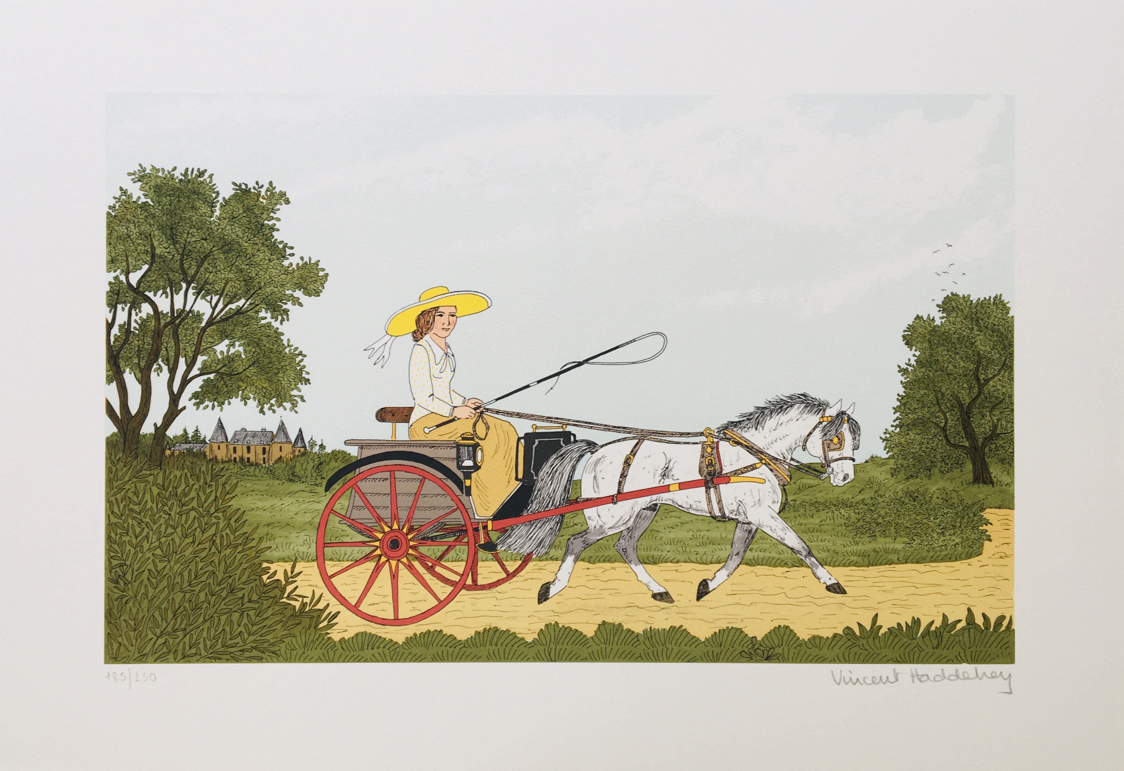 Vincent Haddelsey, Le poney Vincent Haddelsey, Le poney