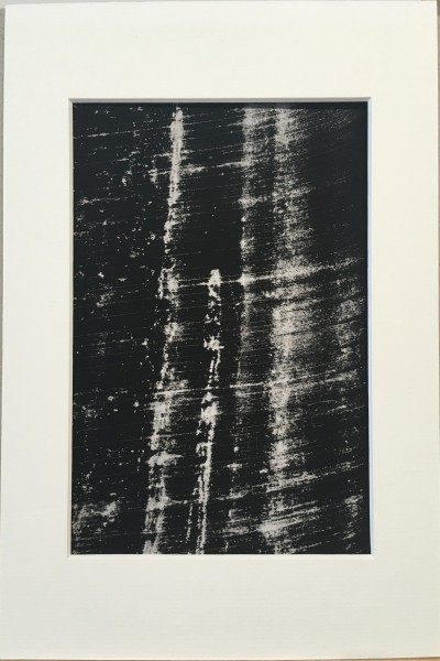 Ed Reddon, Banana leaves #5 Ed Reddon, Banana leaves #5