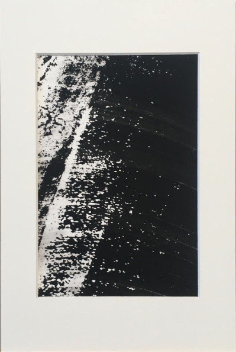 Ed Reddon, Banana leaves #15 Ed Reddon, Banana leaves #15