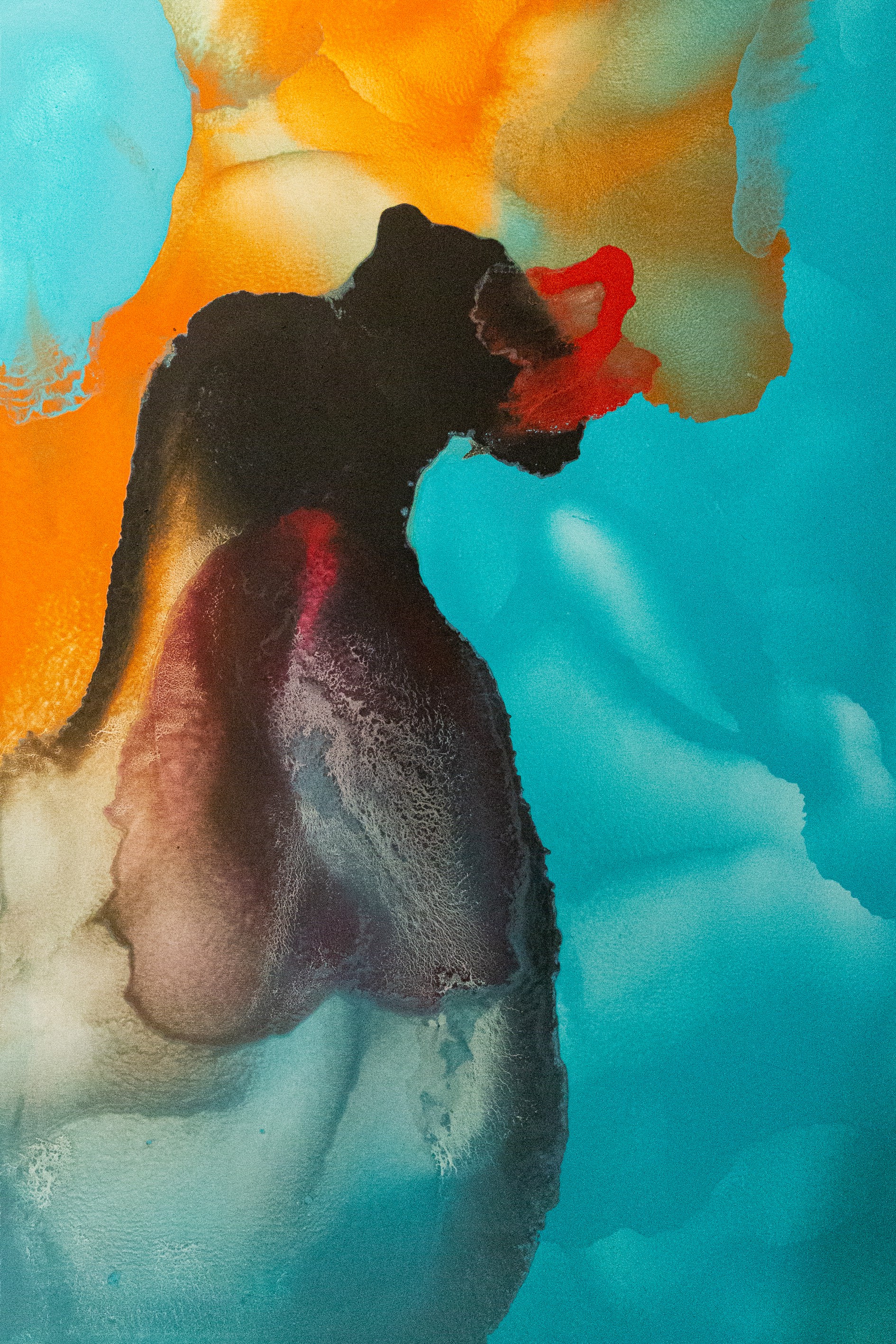 Claude Bernhart, Apparition Claude Bernhart, Apparition