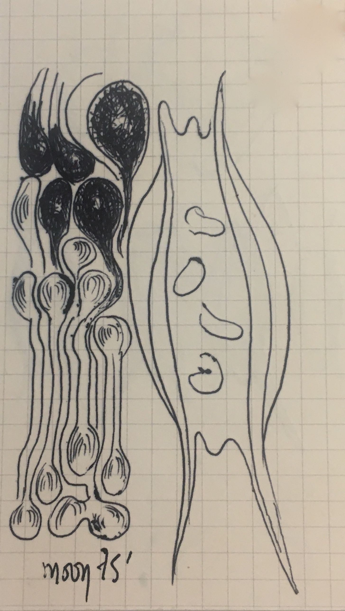 Moon Shin, 2 Sculptures Abstraction 1975 Moon Shin, 2 Sculptures Abstraction 1975