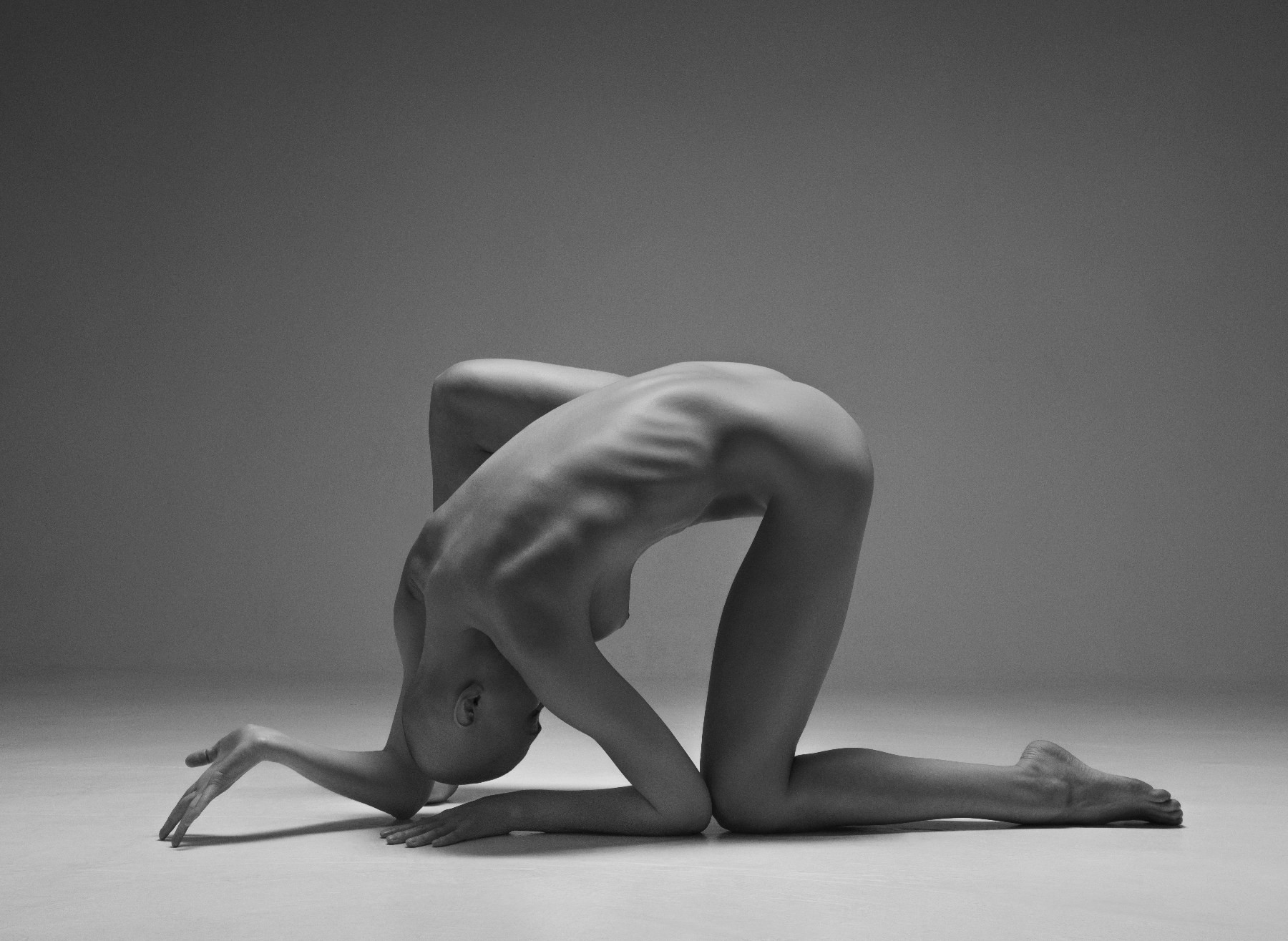 Vadim Stein, Obeisance Vadim Stein, Obeisance