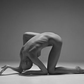 Obeisance, Vadim Stein