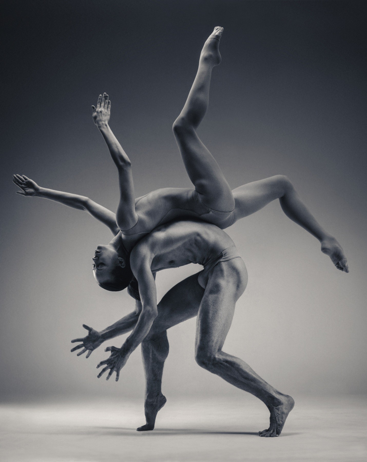 Vadim Stein, Octopean Vadim Stein, Octopean
