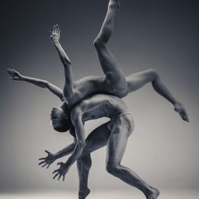 Photographie, Octopean, Vadim Stein