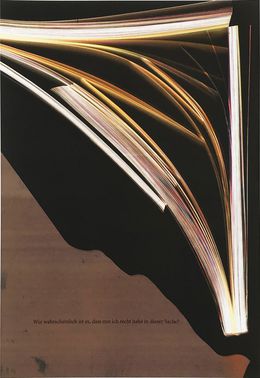 Wie wahrscheinlich ist es, dass nur ich recht habe in dieser Sache?, Wolfgang Tillmans