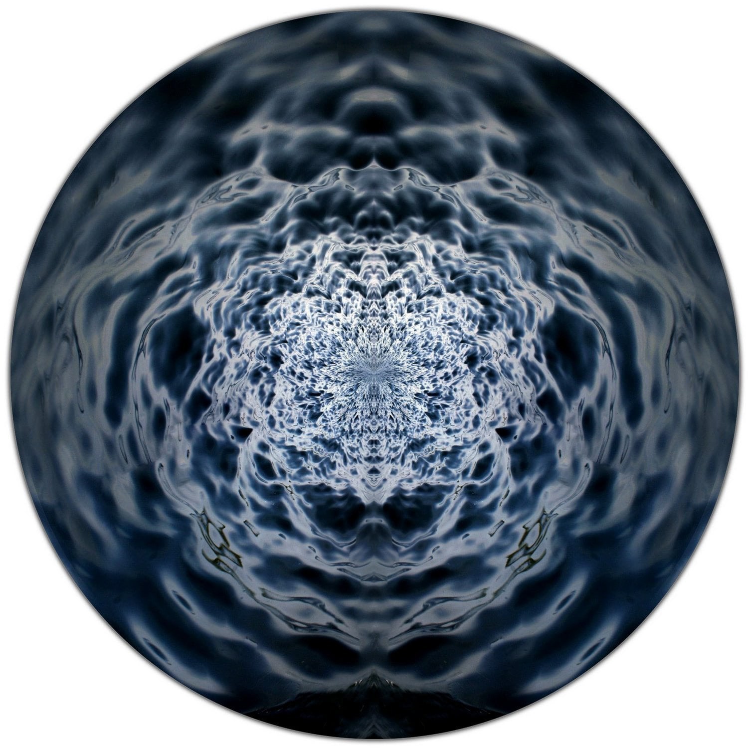 Sven Pfrommer, Seaflower I Sven Pfrommer, Seaflower I