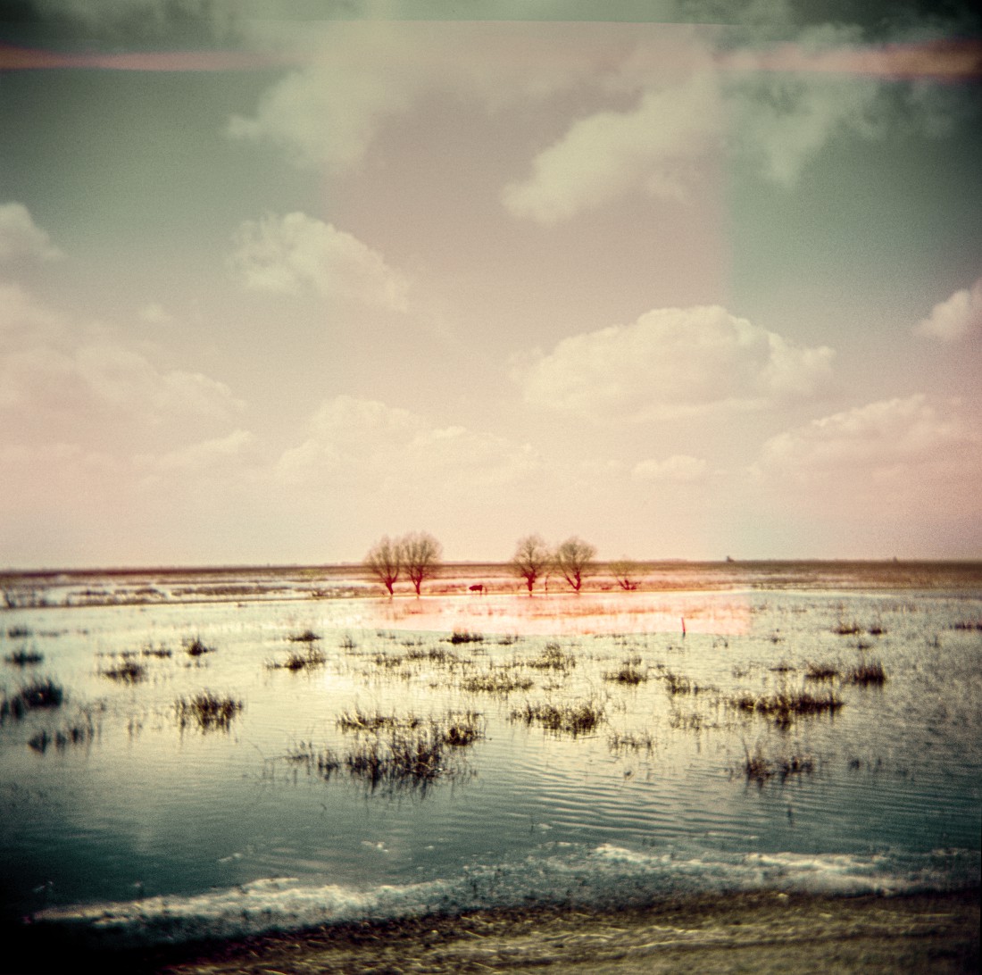 Marco Bulgarelli, Birds, Danube Delta Marco Bulgarelli, Birds, Danube Delta