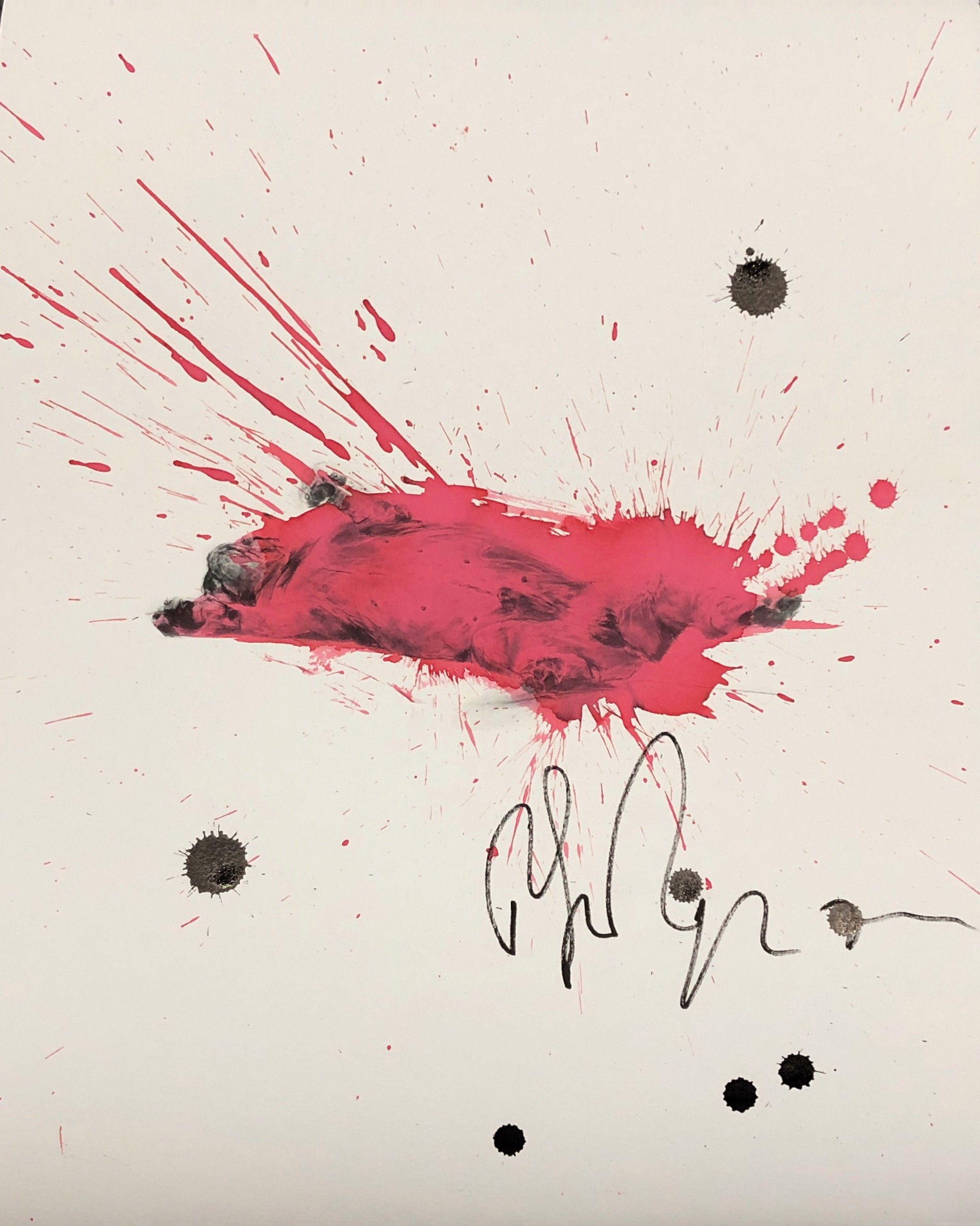 Philippe Pasqua, Sans titre Philippe Pasqua, Sans titre
