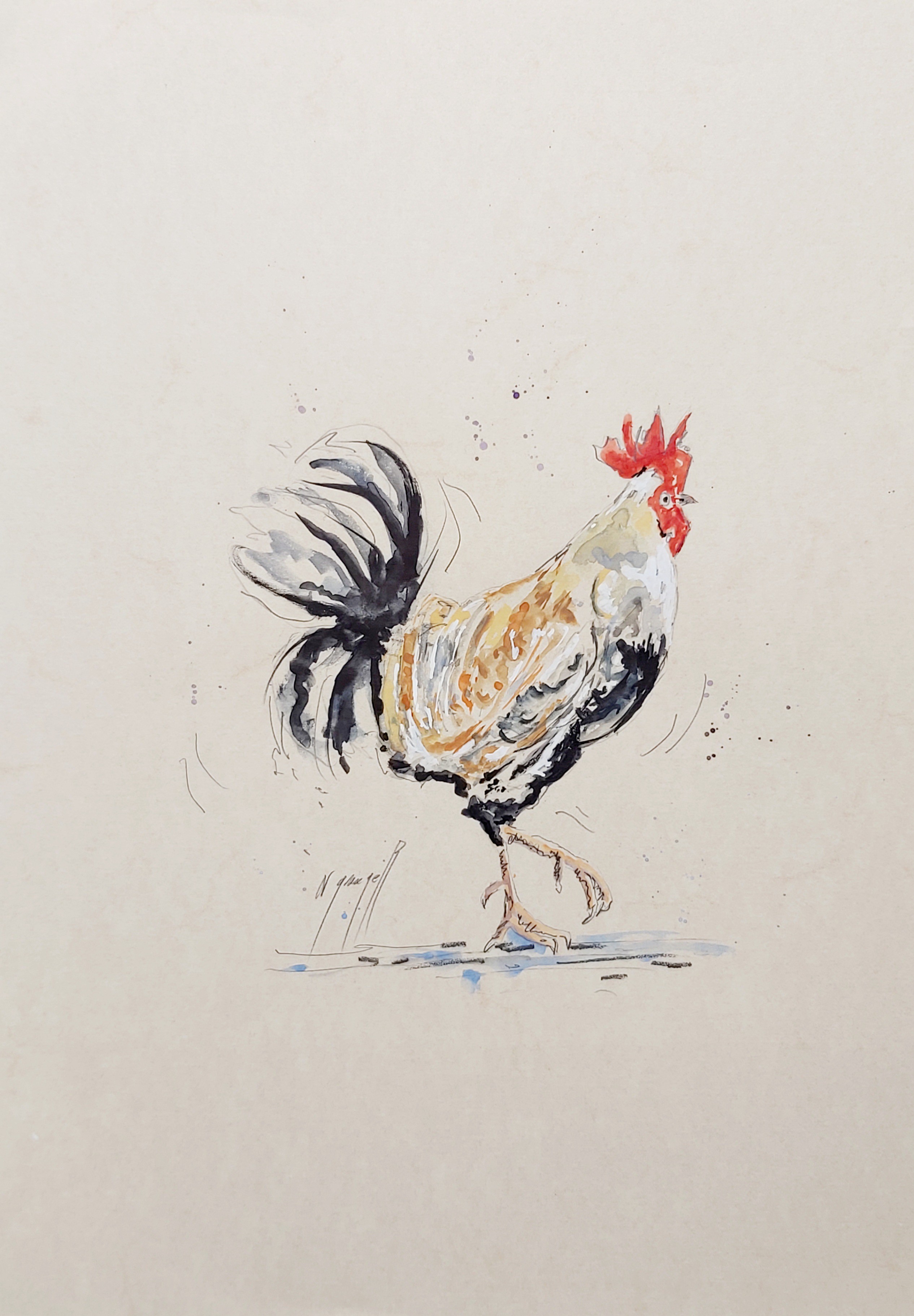 Noël Granger, Le coq Marcel Noël Granger, Le coq Marcel