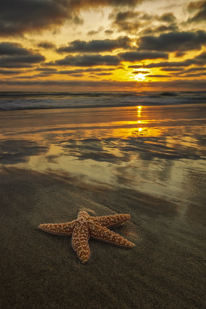 Alexia Rousse, I'm a Star Alexia Rousse, I'm a Star