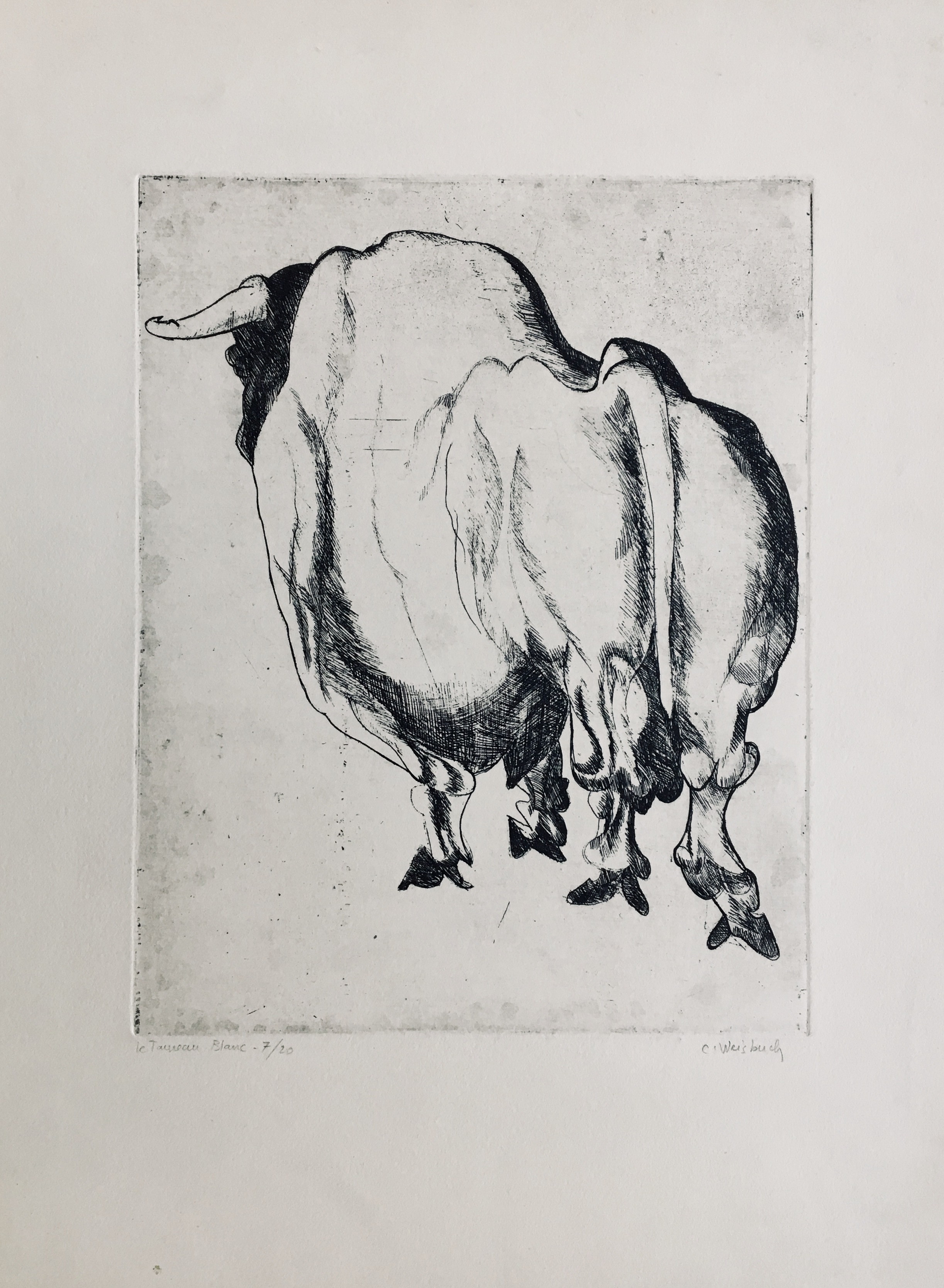 Claude Weisbuch, Le taureau blanc Claude Weisbuch, Le taureau blanc