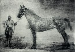 Print, Horse from Casa Lorna, Pawel Zablocki