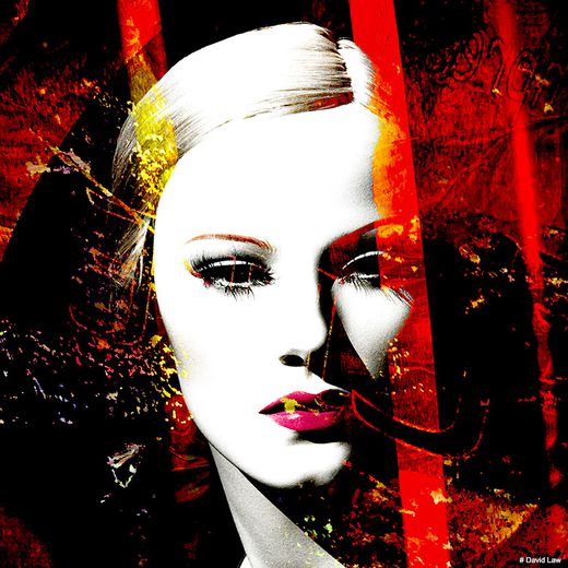 David Law