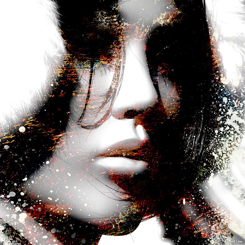David Law, Cold wave David Law, Cold wave