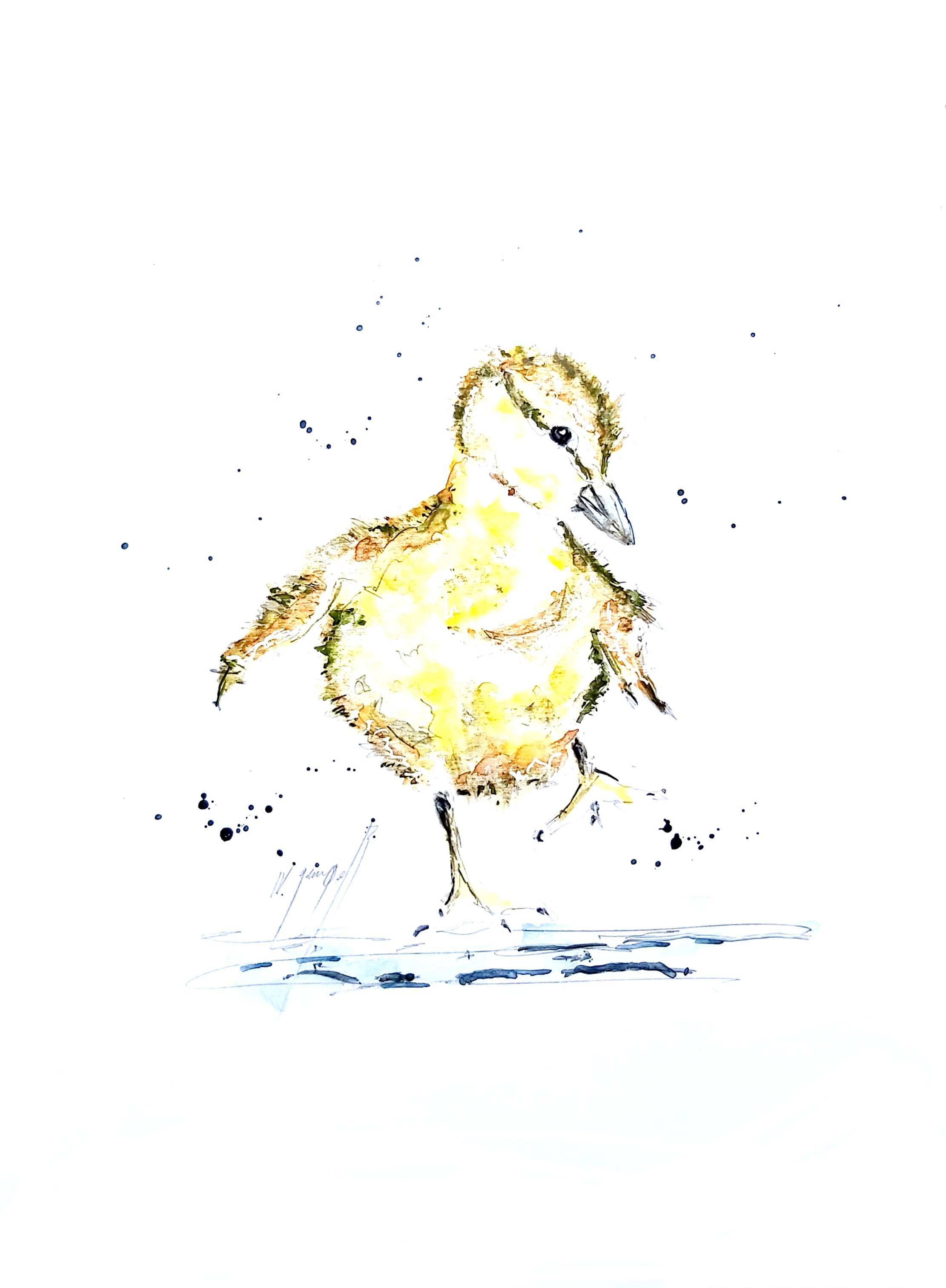 Noël Granger, Mon petit canard Noël Granger, Mon petit canard