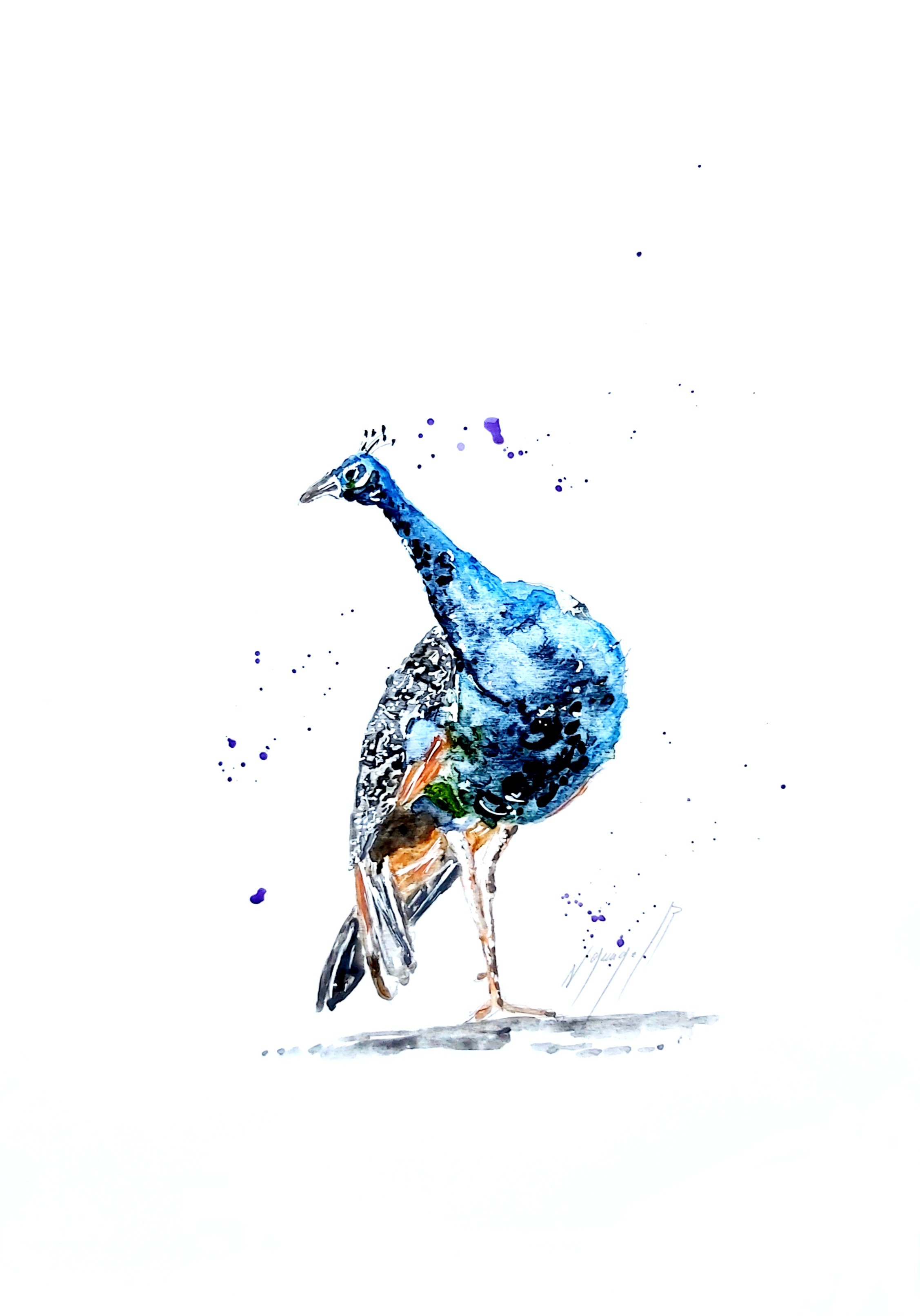 Noël Granger, L'oiseau du Roi Noël Granger, L'oiseau du Roi