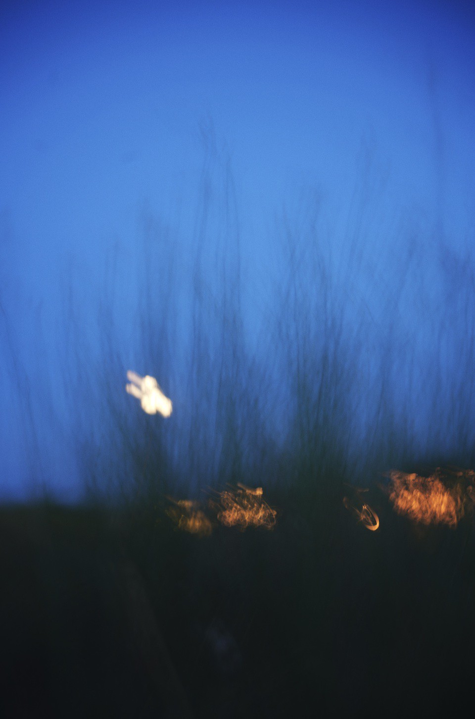 Mihaela Ivanova, To see with eyes unclouded Mihaela Ivanova, To see with eyes unclouded