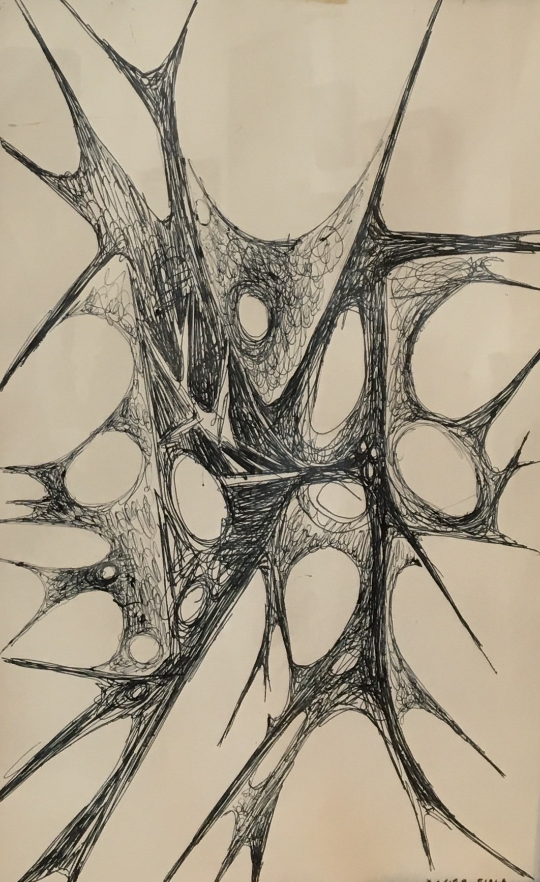 Xavier Albert Fiala, Fossile Xavier Albert Fiala, Fossile