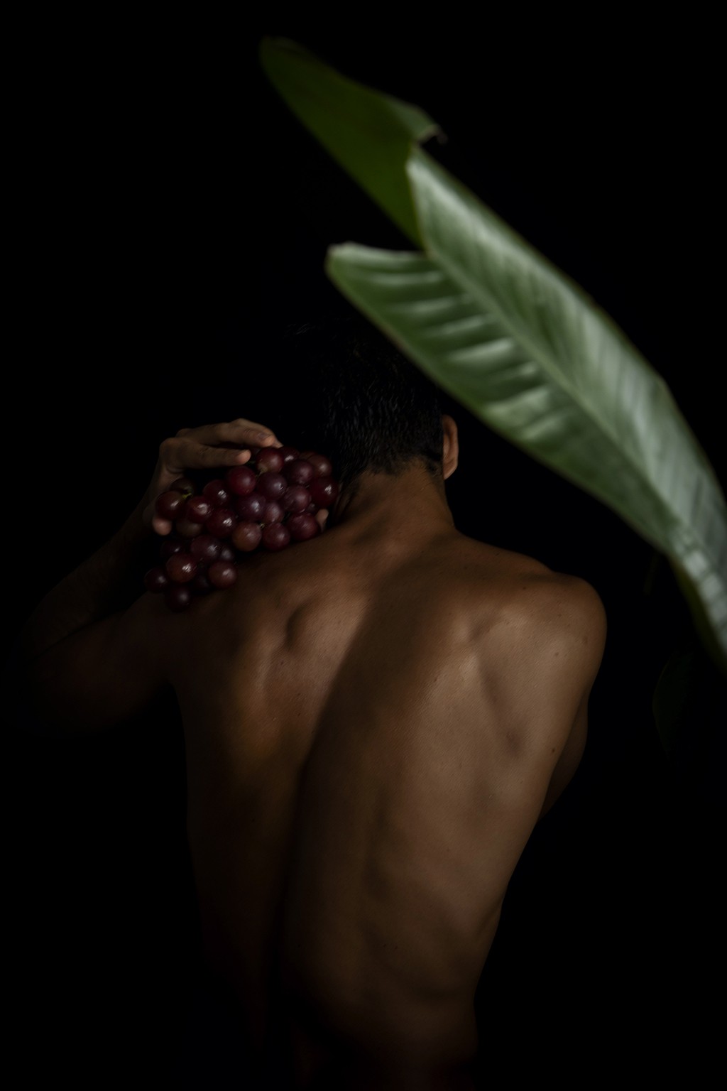 Ricky Cohete, Palmar. From the Viva series. Ricky Cohete, Palmar. From the Viva series.