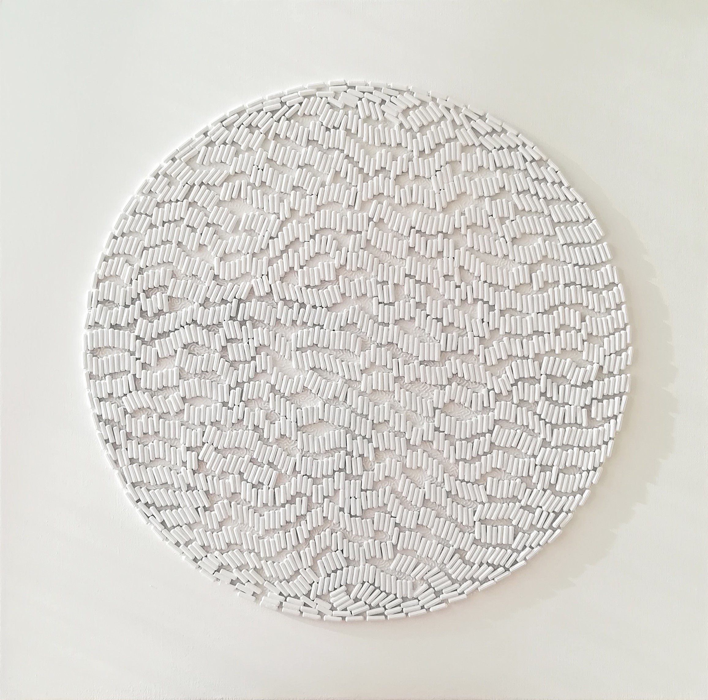 Diana Torje, Hierarchy Diana Torje, Hierarchy