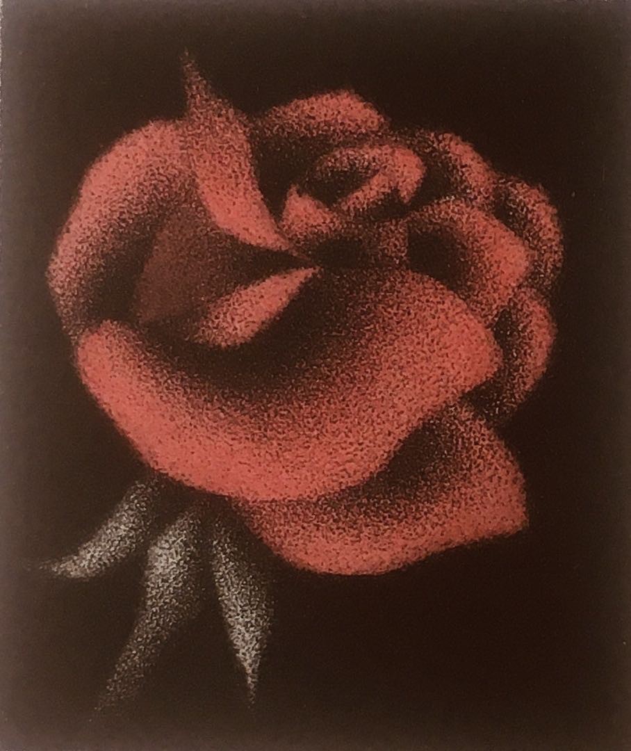 Mario Avati, AMOUR Une Rose Rouge LOVE A red rose Mario Avati, AMOUR Une Rose Rouge LOVE A red rose